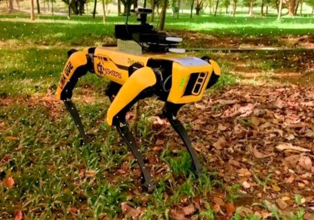 ¿Black Mirror?: Singapur utiliza perros robot para reforzar el distanciamiento social